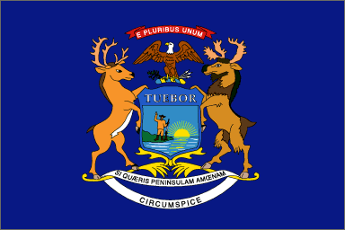 Michigfan State Flag